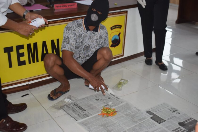 Pilox Cabai, Satu Petani Cabai Di Temanggung Diamankan Polisi