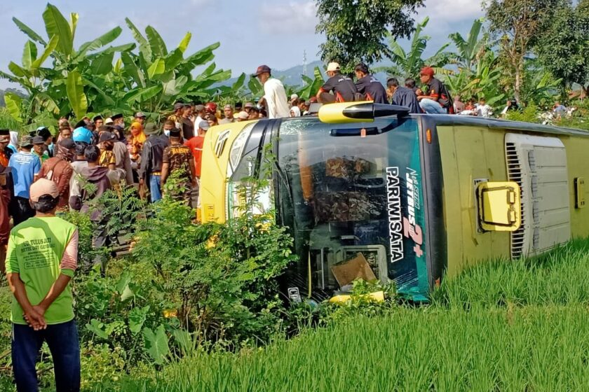 Hindari Mobil Tosa, Bus Rombongan Peziarah Terperosok ke Persawahan