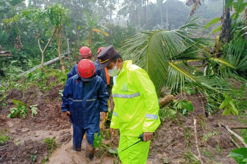 Akibat Curah Hujan Tinggi, Sebuah Tebih Setinggi 30 Meter di Pringsurat Mengalami Longsor