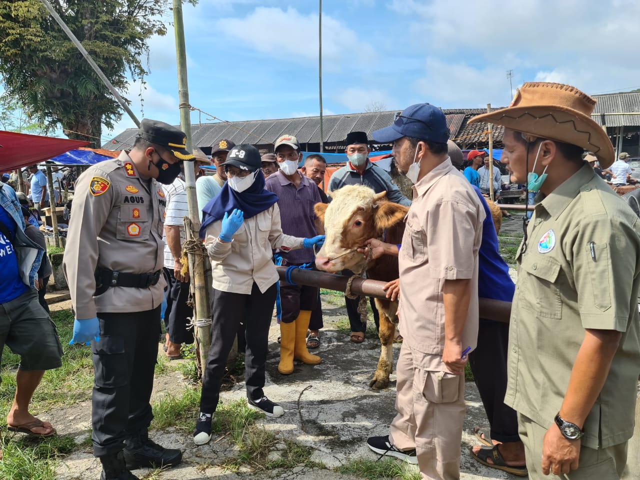 Kapolres Temanggung Cek Pasar Hewan Antisipasi Kasus PMK