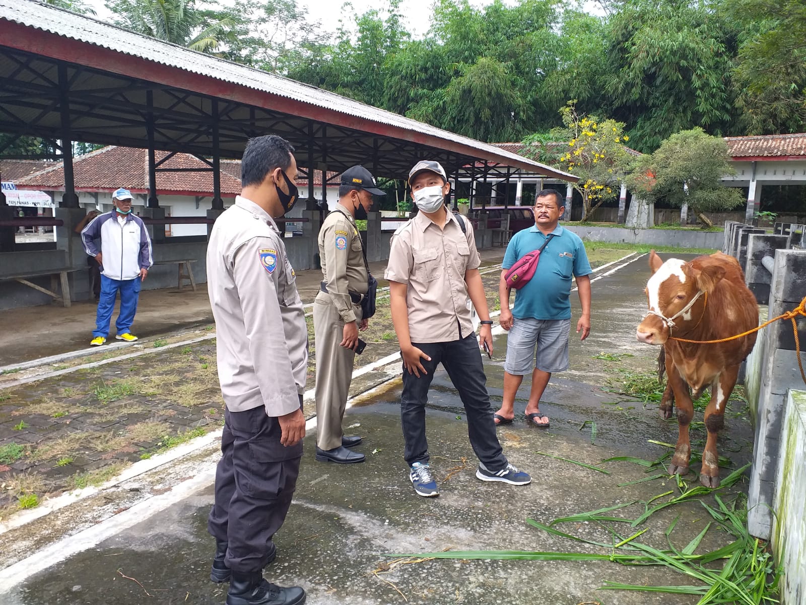 Cegah Virus PMK, Polsek Kranggan Patroli Peternakan di Pasar Hewan Badran