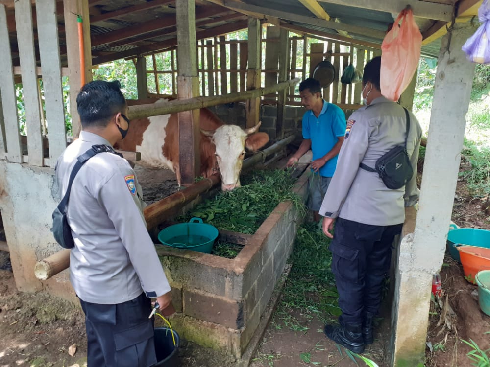 Antisipasi Wabah PMK, Bhabinkamtibmas Polsek Bejen Patroli di Kandang Sapi Warga