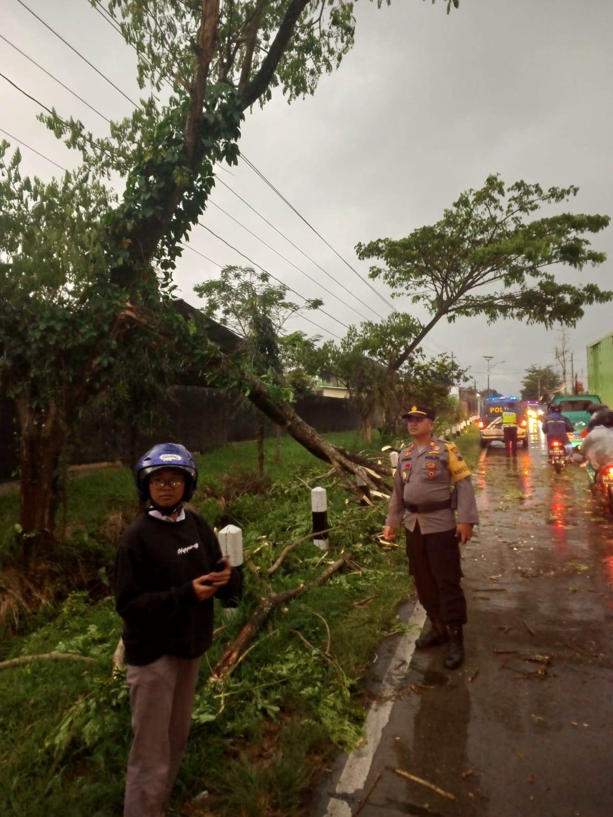 Hujan Dari Siang Hingga Malam, Akibatkan Pohon Tumbang Dan Satu Rumah Rusak