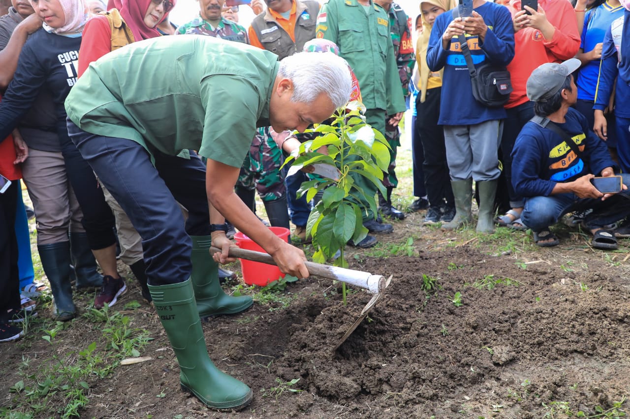 Selamatkan Lahan Kritis, Ganjar dan Warga Tanam 15 Ribu Pohon