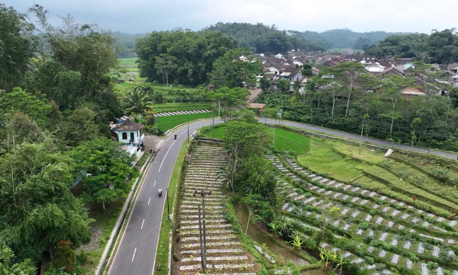 Dongkrak Perekonomian Warga, Ganjar Bangun Jalan Alternatif di Temanggung