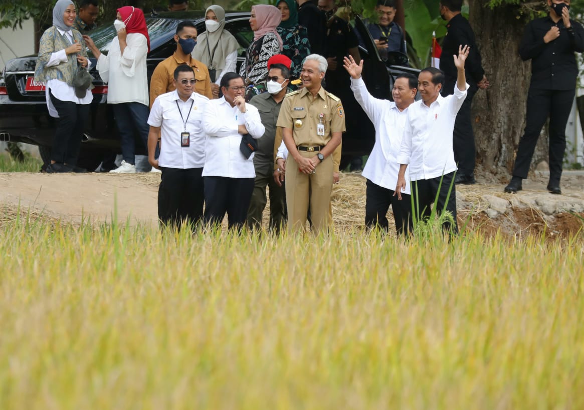 Dampingi Presiden Tinjau Panen Raya, Ganjar Dukung Indonesia Jadi Lumbung Pangan Dunia