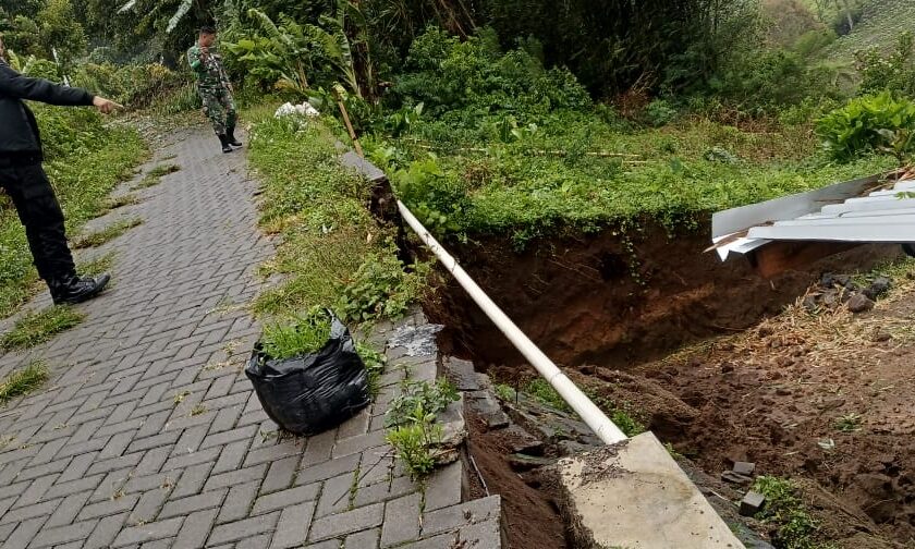 Hujan Deras Disertai Angin Kencang di Kledung Temanggung, Akibatkan Senderan Longsor dan Beberapa Pohon Dijalan Utama Tumbang